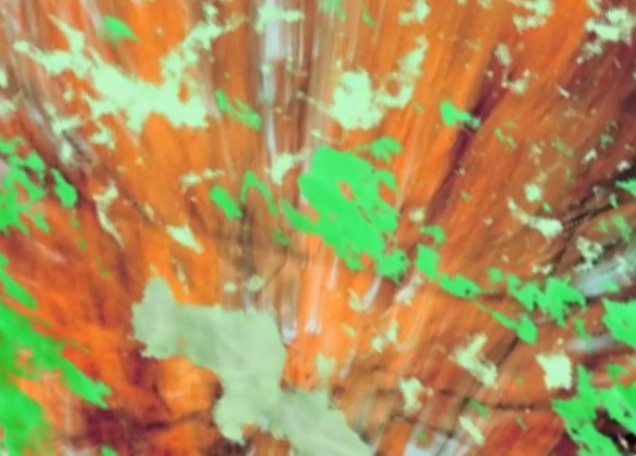 Gerd Stern, Tutti Frutti, film still