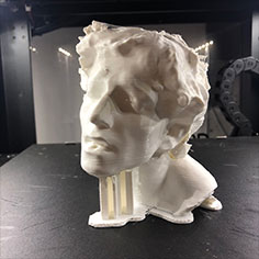 3D Scans & 3D Prints